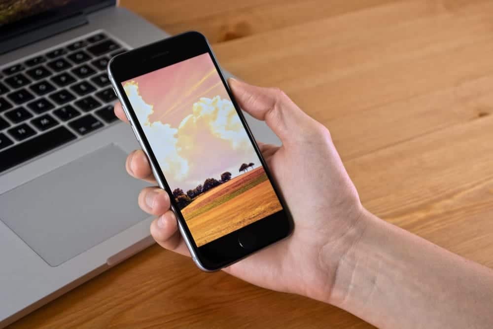 A hand holding a phone with a picture of a field on the screen for Houston phone repair.